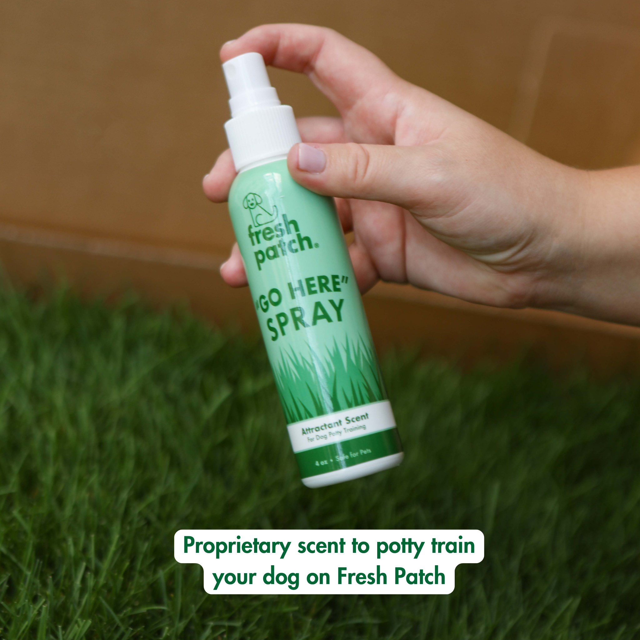 Potty here spray best sale