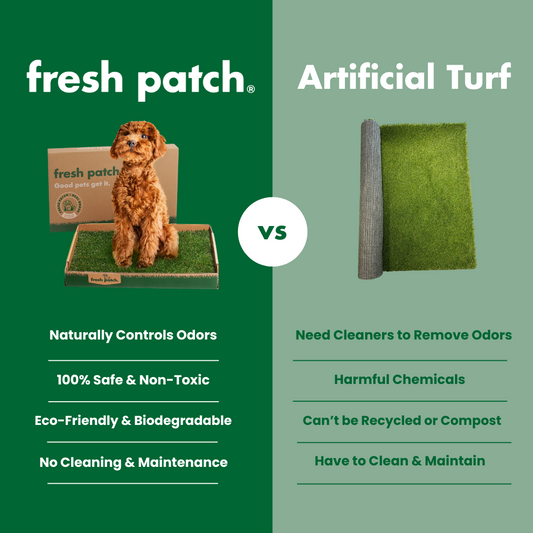 Fresh Patch Versus Artificial Grass Turf