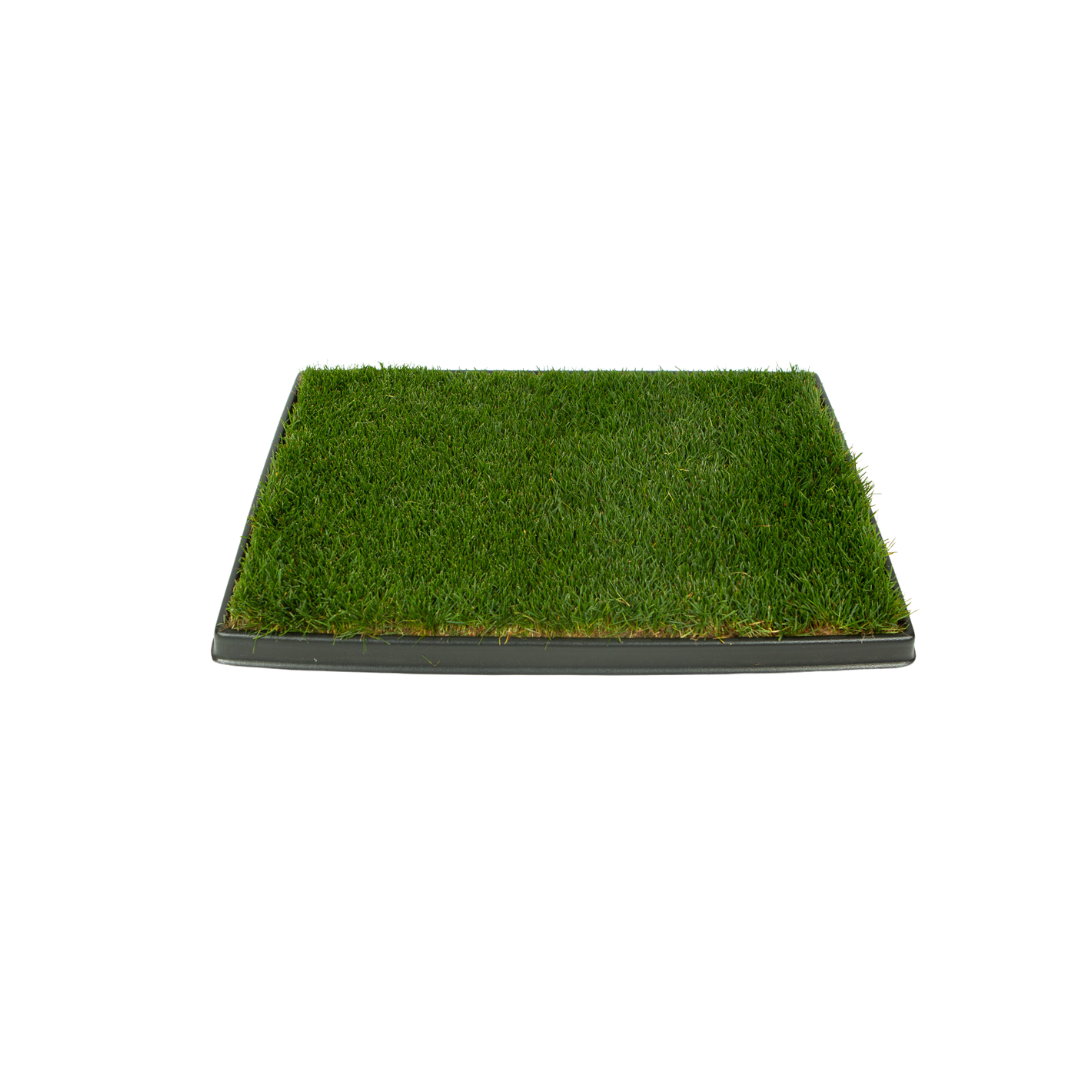 Standard Combo Pack (Grass and Tray)