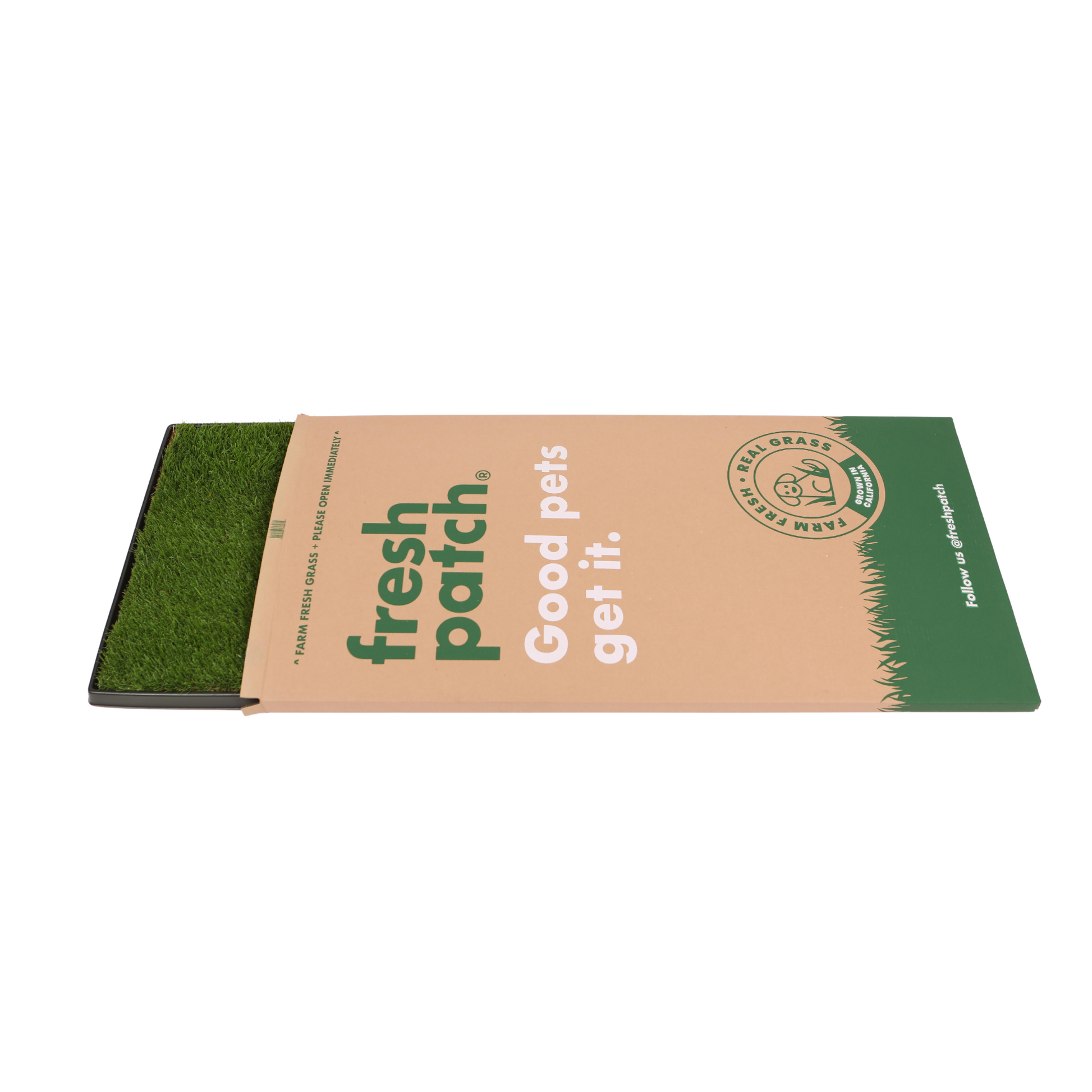 Fresh Patch XL Grass on Tray inside Box