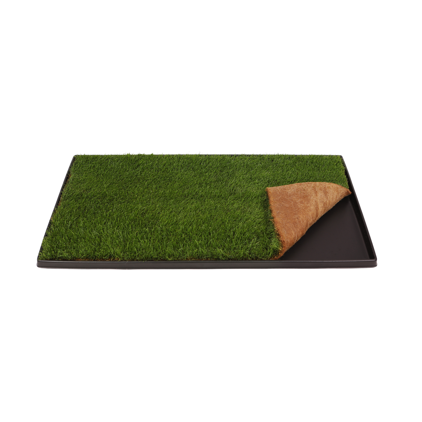 Real Grass Dog Potty Pad on Plastic Tray