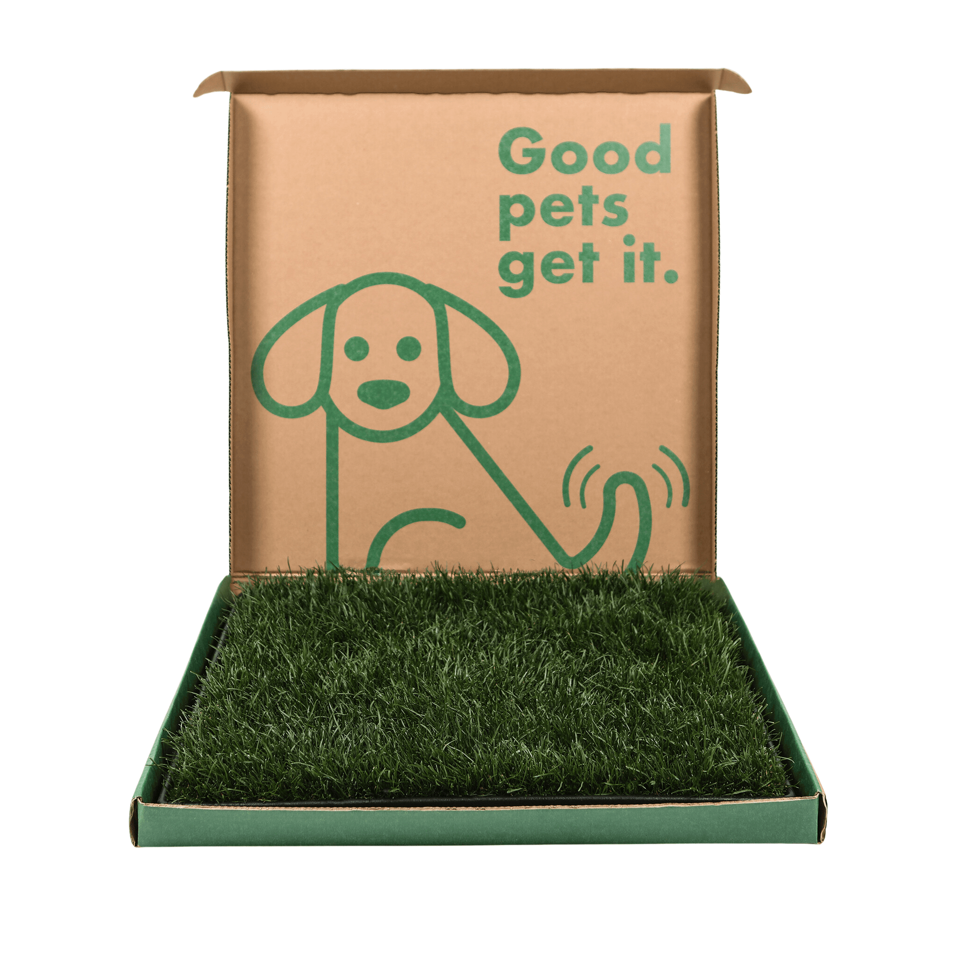 Large dog grass pad hotsell