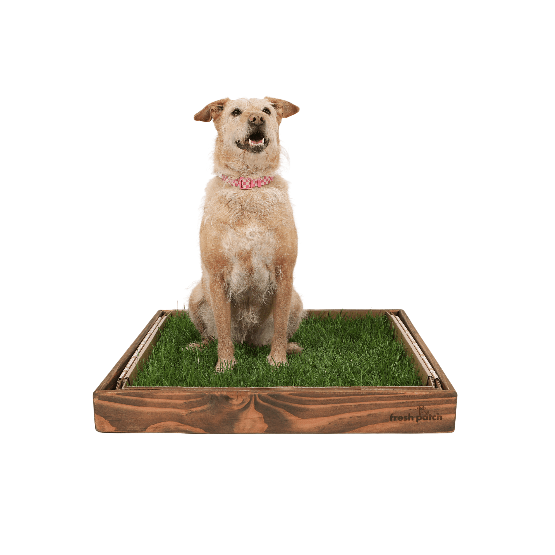 OAK Protective Sleeve Fresh Patch Large Doggie Grass