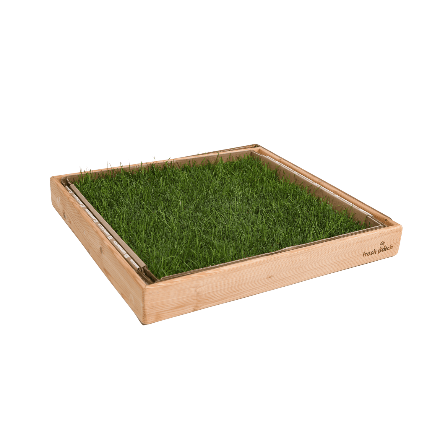 Large Fresh Patch of Grass with Light Wood in Pine