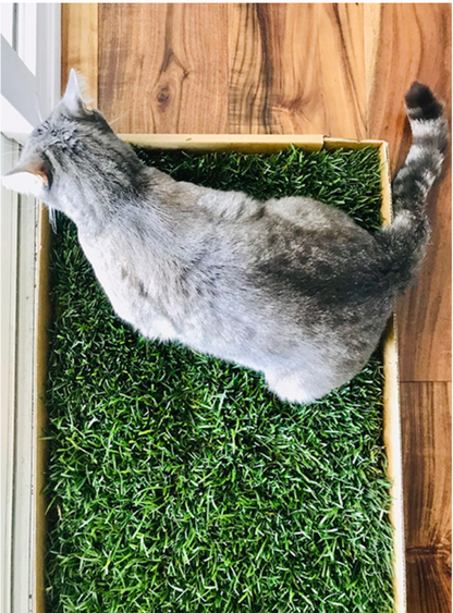 Grass mat for cats best sale