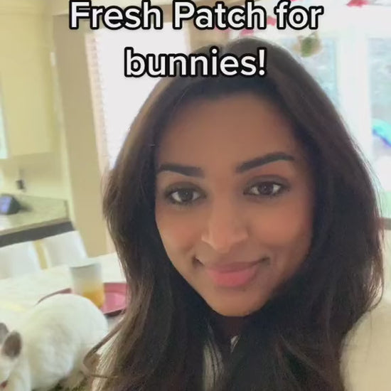 Video of Influencer Feeding Bunnies on Fresh Patch Grass