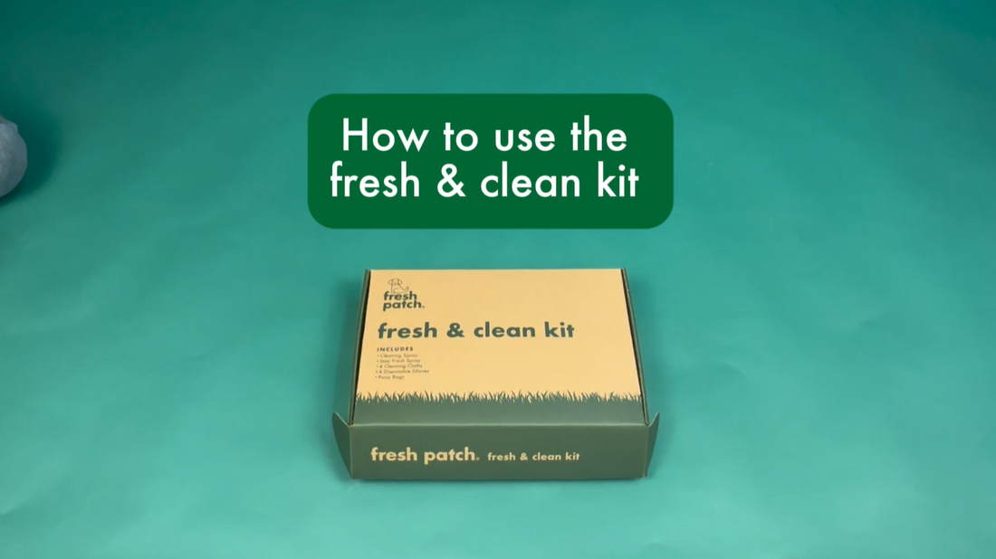 How to use the fresh & clean kit