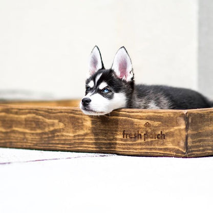 Black and White Puppy laying on a Wood Sleeve