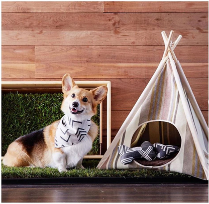 Small dog with Grass Patch next to Tee pee 