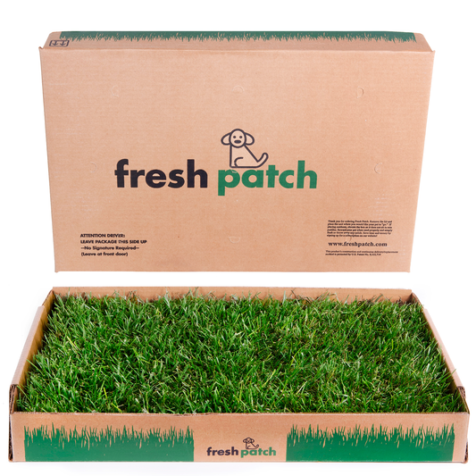 Rabbit Patch Farm Fresh Grass Delivery