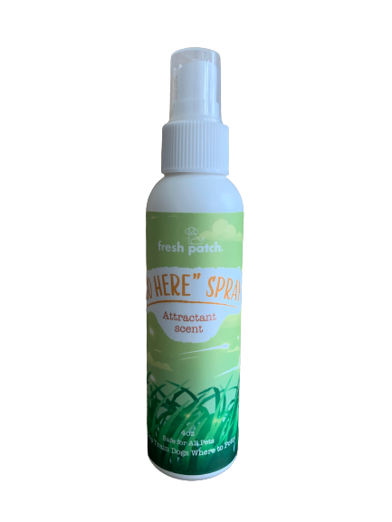 Go Here Dog Potty Training Spray