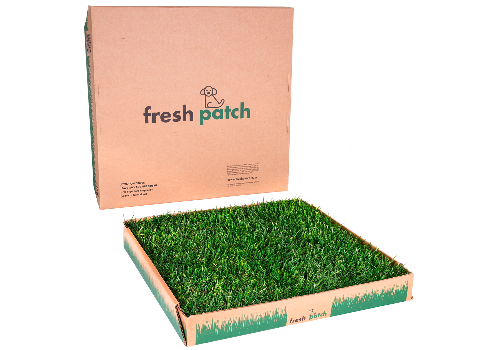 Fresh Patch Large Dog Grass Pee Pad Real Grass