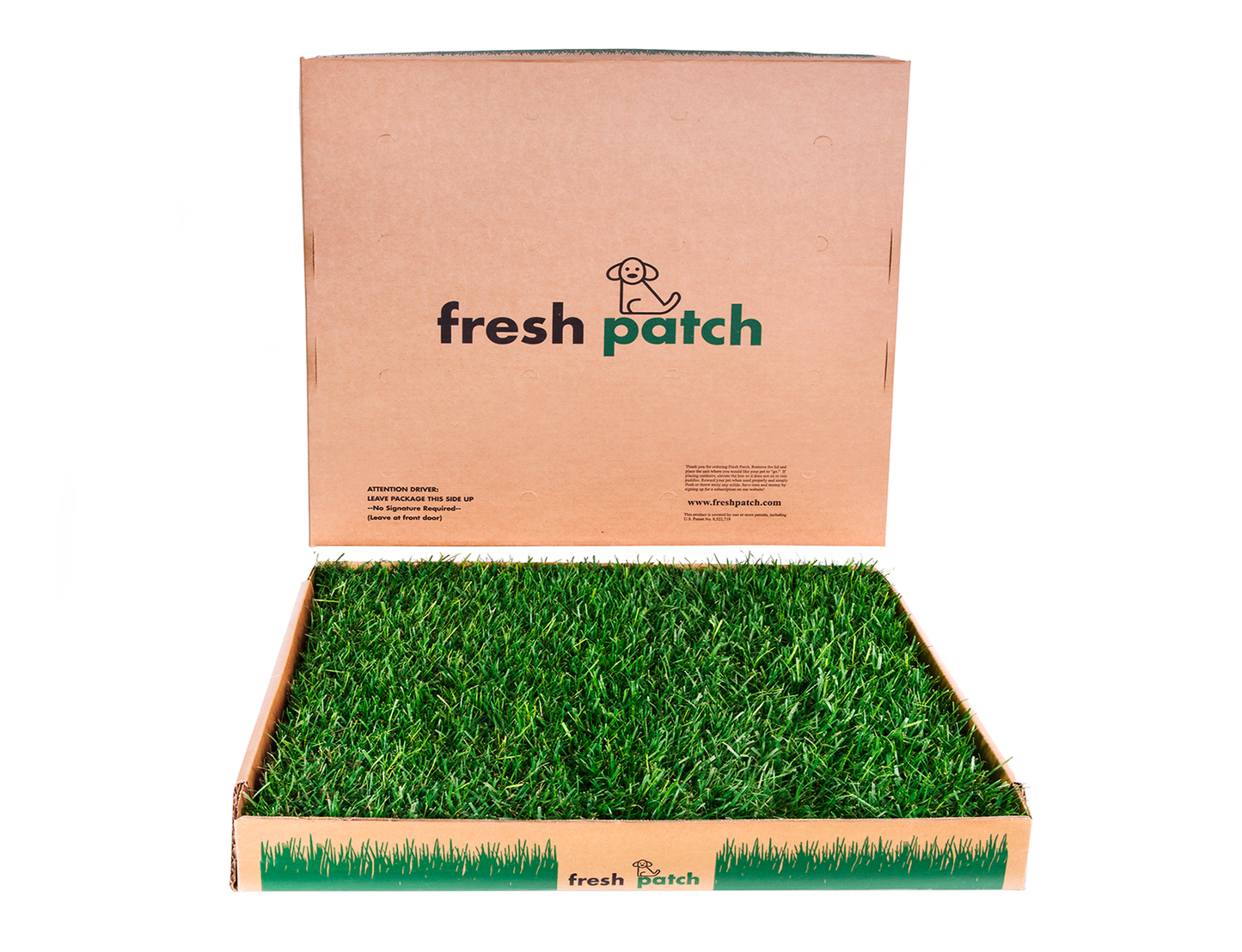 Fresh Patch Large Grass Dog Potty